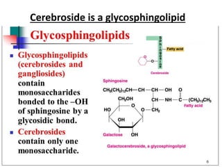 Cerebroside is a glycosphingolipid
 