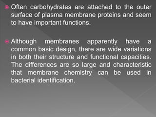  Often carbohydrates are attached to the outer
surface of plasma membrane proteins and seem
to have important functions.
 Although membranes apparently have a
common basic design, there are wide variations
in both their structure and functional capacities.
The differences are so large and characteristic
that membrane chemistry can be used in
bacterial identification.
 