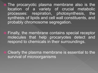  The procaryotic plasma membrane also is the
location of a variety of crucial metabolic
processes: respiration, photosynthesis, the
synthesis of lipids and cell wall constituents, and
probably chromosome segregation.
 Finally, the membrane contains special receptor
molecules that help procaryotes detect and
respond to chemicals in their surroundings.
 Clearly the plasma membrane is essential to the
survival of microorganisms
 