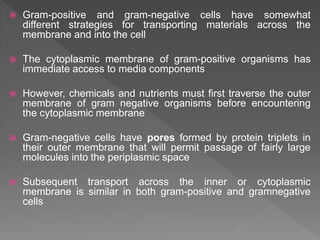  Gram-positive and gram-negative cells have somewhat
different strategies for transporting materials across the
membrane and into the cell
 The cytoplasmic membrane of gram-positive organisms has
immediate access to media components
 However, chemicals and nutrients must first traverse the outer
membrane of gram negative organisms before encountering
the cytoplasmic membrane
 Gram-negative cells have pores formed by protein triplets in
their outer membrane that will permit passage of fairly large
molecules into the periplasmic space
 Subsequent transport across the inner or cytoplasmic
membrane is similar in both gram-positive and gramnegative
cells
 