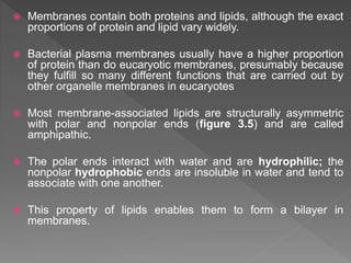  Membranes contain both proteins and lipids, although the exact
proportions of protein and lipid vary widely.
 Bacterial plasma membranes usually have a higher proportion
of protein than do eucaryotic membranes, presumably because
they fulfill so many different functions that are carried out by
other organelle membranes in eucaryotes
 Most membrane-associated lipids are structurally asymmetric
with polar and nonpolar ends (figure 3.5) and are called
amphipathic.
 The polar ends interact with water and are hydrophilic; the
nonpolar hydrophobic ends are insoluble in water and tend to
associate with one another.
 This property of lipids enables them to form a bilayer in
membranes.
 