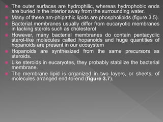  The outer surfaces are hydrophilic, whereas hydrophobic ends
are buried in the interior away from the surrounding water.
 Many of these am-phipathic lipids are phospholipids (figure 3.5).
 Bacterial membranes usually differ from eucaryotic membranes
in lacking sterols such as cholesterol
 However, many bacterial membranes do contain pentacyclic
sterol-like molecules called hopanoids and huge quantities of
hopanoids are present in our ecosystem
 Hopanoids are synthesized from the same precursors as
steroids.
 Like steroids in eucaryotes, they probably stabilize the bacterial
membrane.
 The membrane lipid is organized in two layers, or sheets, of
molecules arranged end-to-end (figure 3.7).
 