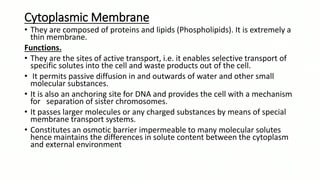 Cytoplasmic Membrane
• They are composed of proteins and lipids (Phospholipids). It is extremely a
thin membrane.
Functions.
• They are the sites of active transport, i.e. it enables selective transport of
specific solutes into the cell and waste products out of the cell.
• It permits passive diffusion in and outwards of water and other small
molecular substances.
• It is also an anchoring site for DNA and provides the cell with a mechanism
for separation of sister chromosomes.
• It passes larger molecules or any charged substances by means of special
membrane transport systems.
• Constitutes an osmotic barrier impermeable to many molecular solutes
hence maintains the differences in solute content between the cytoplasm
and external environment
 