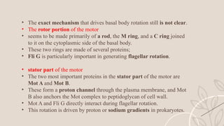 BACTERIAL CELL STRUCTURE AND FUNCTION.pptx