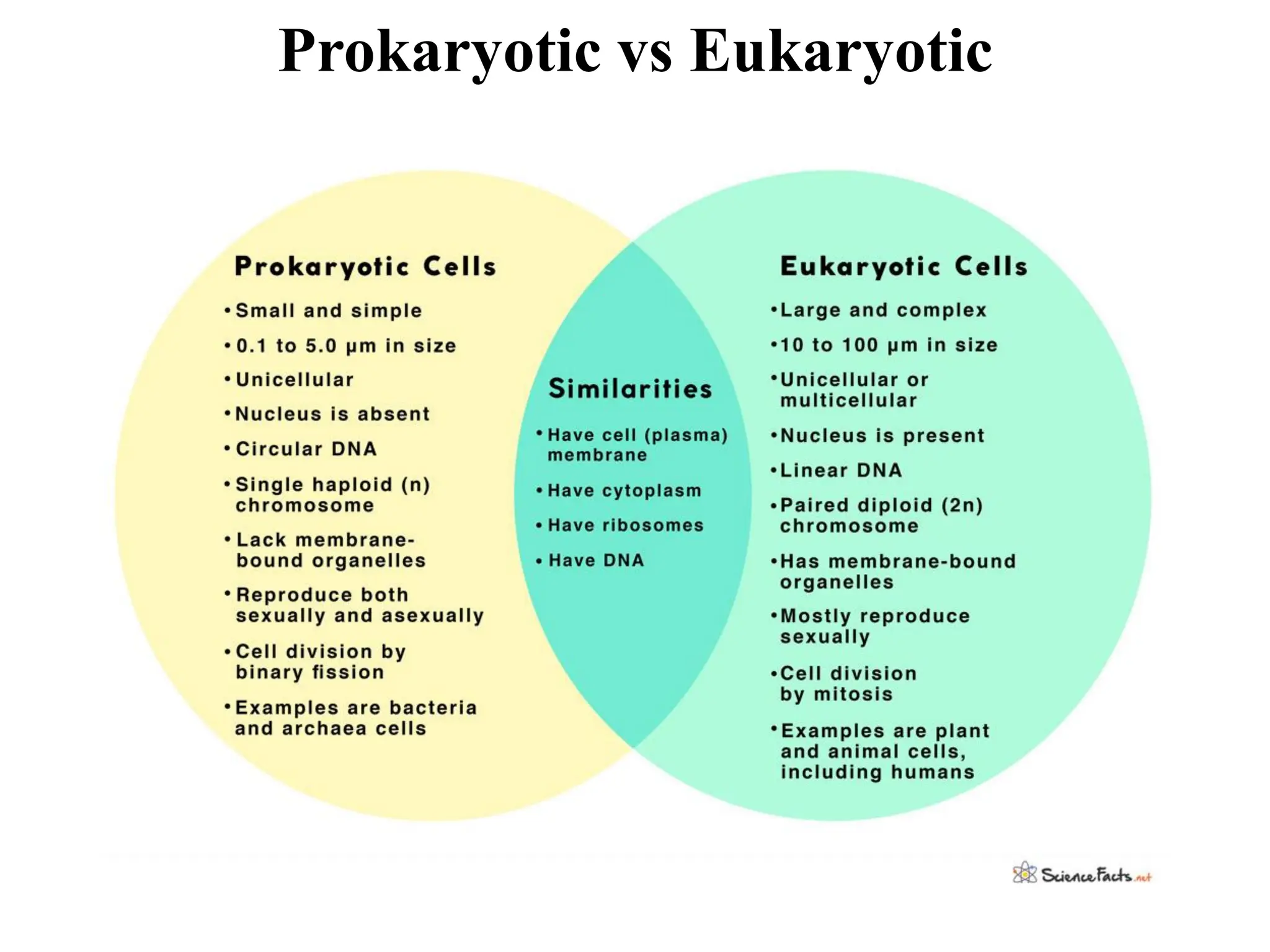 Prokaryotic vs Eukaryotic
 