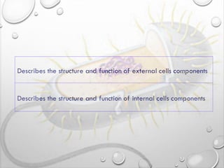 Bacterial cell structure and function lecture (1).pdf