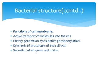  Functions of cell membrane:
 Active transport of molecules into the cell
 Energy generation by oxidative phosphorylation
 Synthesis of precursors of the cell wall
 Secretion of enzymes and toxins
Bacterial structure(contd..)
 