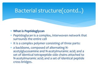  What is Peptidoglycan
 Peptidoglycan is a complex, interwoven network that
surrounds the entire cell
 It is a complex polymer consisting of three parts:
 a backbone, composed of alternating N-
acetylglucosamine and N-acetylmuramic acid; and a
set of identical tetrapeptide side chains attached to
N-acetylmuramic acid; and a set of identical peptide
cross bridges.
Bacterial structure(contd..)
 