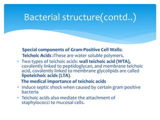 Special components of Gram-Positive Cell Walls:
Teichoic Acids :These are water soluble polymers.
 Two types of teichoic acids: wall teichoic acid (WTA),
covalently linked to peptidoglycan, and membrane teichoic
acid, covalently linked to membrane glycolipids are called
lipoteichoic acids (LTA).
The medical importance of teichoic acids
 Induce septic shock when caused by certain gram positive
bacteria
 Teichoic acids also mediate the attachment of
staphylococci to mucosal cells.
Bacterial structure(contd..)
 