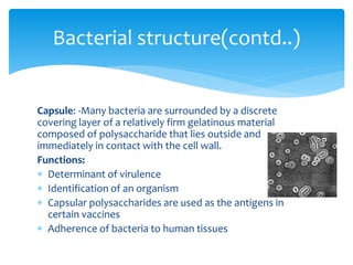 Capsule: -Many bacteria are surrounded by a discrete
covering layer of a relatively firm gelatinous material
composed of polysaccharide that lies outside and
immediately in contact with the cell wall.
Functions:
 Determinant of virulence
 Identification of an organism
 Capsular polysaccharides are used as the antigens in
certain vaccines
 Adherence of bacteria to human tissues
Bacterial structure(contd..)
 