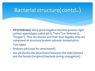  Pili (Fimbriae): Many gram-negative bacteria possess rigid
surface appendages called pili (L "hairs") or fimbriae (L
"fringes"). They are shorter and finer than flagella; they are
composed of structural protein subunits termed pilins.
Two types
 Ordinary pili (used for attachment)
 Sex pili (forms the attachment between the male (donor)
and the female (recipient) bacteria during conjugation) .
Bacterial structure(contd..)
 
