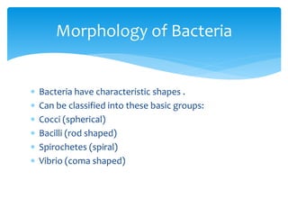  Bacteria have characteristic shapes .
 Can be classified into these basic groups:
 Cocci (spherical)
 Bacilli (rod shaped)
 Spirochetes (spiral)
 Vibrio (coma shaped)
Morphology of Bacteria
 