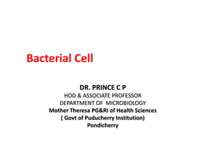 DR. PRINCE C P
HOD & ASSOCIATE PROFESSOR
DEPARTMENT OF MICROBIOLOGY
Mother Theresa PG&RI of Health Sciences
( Govt of Puducherry Institution)
Pondicherry
Bacterial Cell
 