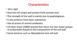 Characteristics
• Very rigid
• Give the cell shape and protect from osmotic lysis
• The strength of the wall is mainly due to peptidoglycan
• It also protects from toxic substances
• Site of action of several antibiotics
• Christan Gram (1884) proved that there are two major groups
of prokaryotes based on the composition of the cell wall
• Some bacteria such as Mycoplasma lack cell wall
 