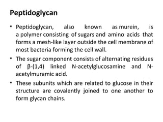 Peptidoglycan
• Peptidoglycan, also known as murein, is
a polymer consisting of sugars and amino acids that
forms a mesh-like layer outside the cell membrane of
most bacteria forming the cell wall.
• The sugar component consists of alternating residues
of β-(1,4) linked N-acetylglucosamine and N-
acetylmuramic acid.
• These subunits which are related to glucose in their
structure are covalently joined to one another to
form glycan chains.
 
