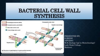 BACTERIAL CELL WALL
SYNTHESIS
PRESENTED BY,
D.IRENE
16PGZ001
M.Sc.Zoology (spl in Biotechnology)
Lady Doak College,
Madurai.
 