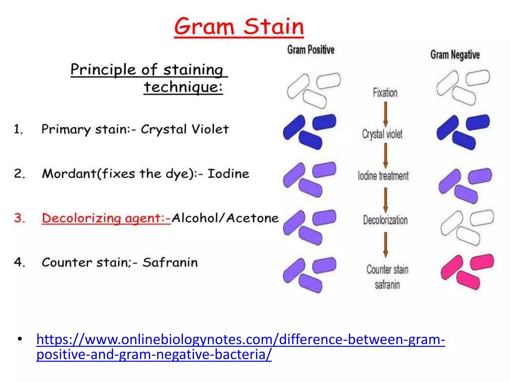 • https://www.onlinebiologynotes.com/difference-between-gram-
positive-and-gram-negative-bacteria/
 