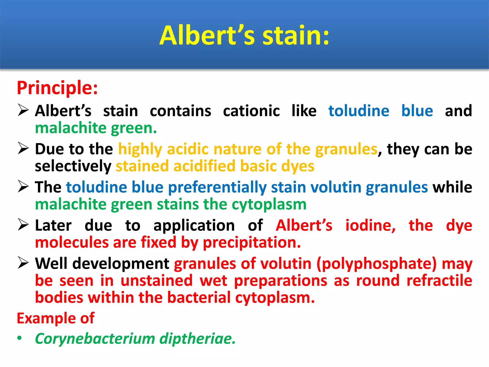 Albert’s stain:
Principle:
 Albert’s stain contains cationic like toludine blue and
malachite green.
 Due to the highly acidic nature of the granules, they can be
selectively stained acidified basic dyes
 The toludine blue preferentially stain volutin granules while
malachite green stains the cytoplasm
 Later due to application of Albert’s iodine, the dye
molecules are fixed by precipitation.
 Well development granules of volutin (polyphosphate) may
be seen in unstained wet preparations as round refractile
bodies within the bacterial cytoplasm.
Example of
• Corynebacterium diptheriae.
 