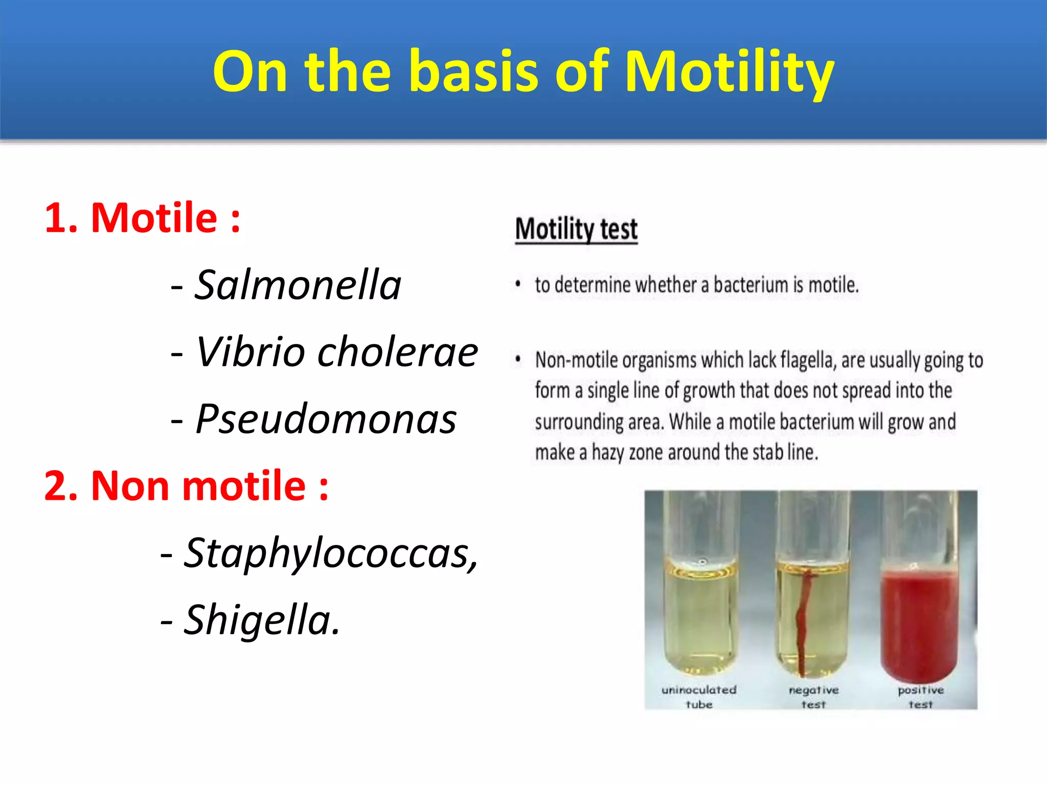 On the basis of Motility
1. Motile :
- Salmonella
- Vibrio cholerae
- Pseudomonas
2. Non motile :
- Staphylococcas,
- Shigella.
 