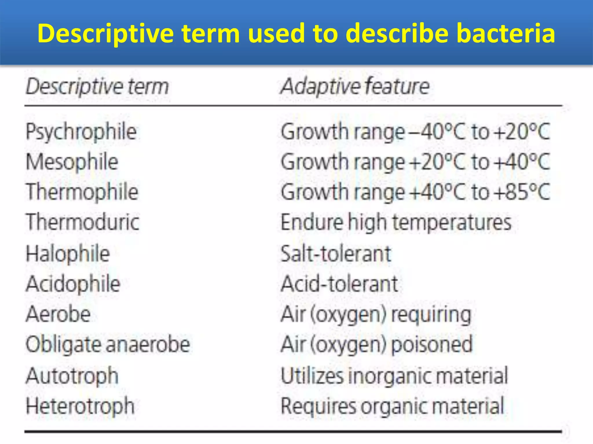 Descriptive term used to describe bacteria
 
