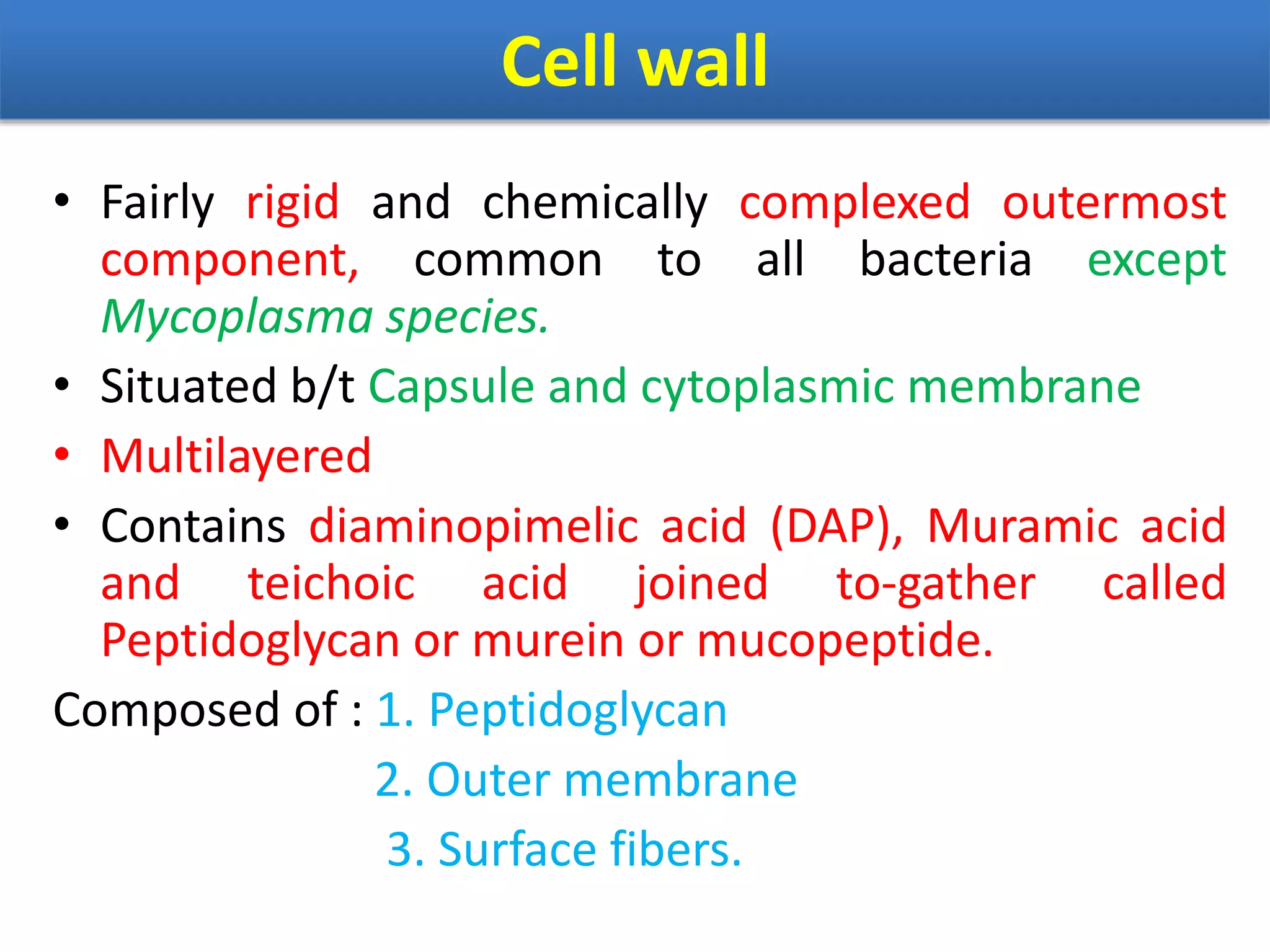 Cell wall
• Fairly rigid and chemically complexed outermost
component, common to all bacteria except
Mycoplasma species.
• Situated b/t Capsule and cytoplasmic membrane
• Multilayered
• Contains diaminopimelic acid (DAP), Muramic acid
and teichoic acid joined to-gather called
Peptidoglycan or murein or mucopeptide.
Composed of : 1. Peptidoglycan
2. Outer membrane
3. Surface fibers.
 