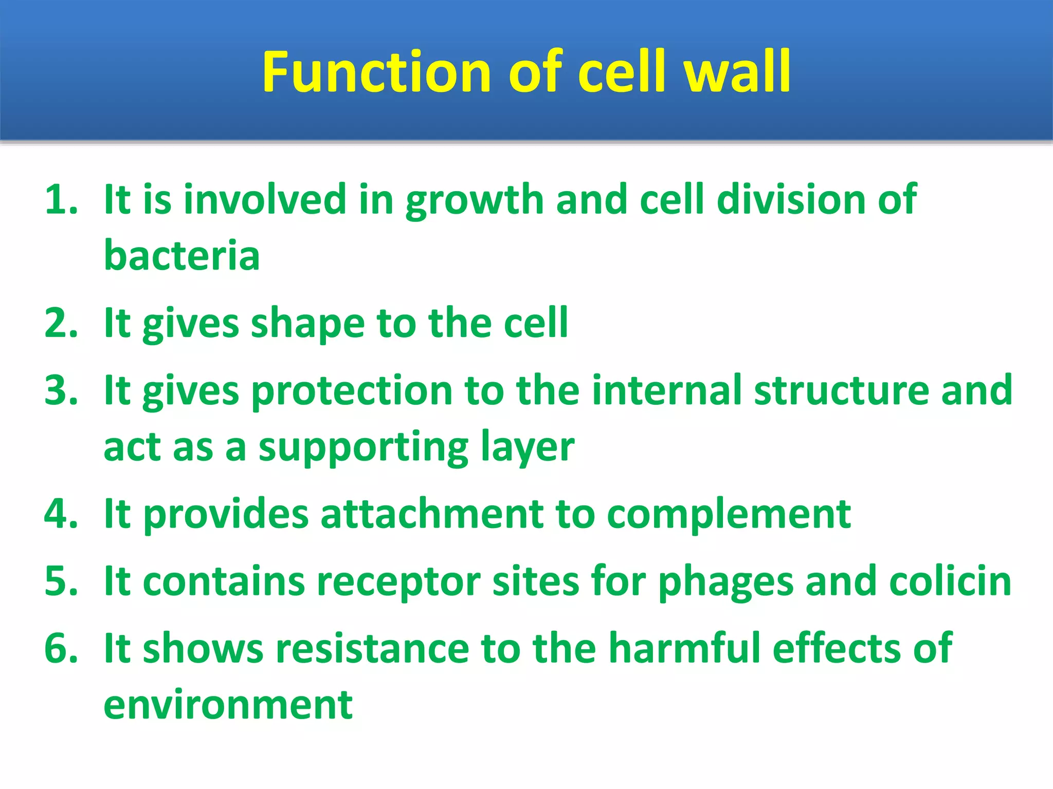 Function of cell wall
1. It is involved in growth and cell division of
bacteria
2. It gives shape to the cell
3. It gives protection to the internal structure and
act as a supporting layer
4. It provides attachment to complement
5. It contains receptor sites for phages and colicin
6. It shows resistance to the harmful effects of
environment
 