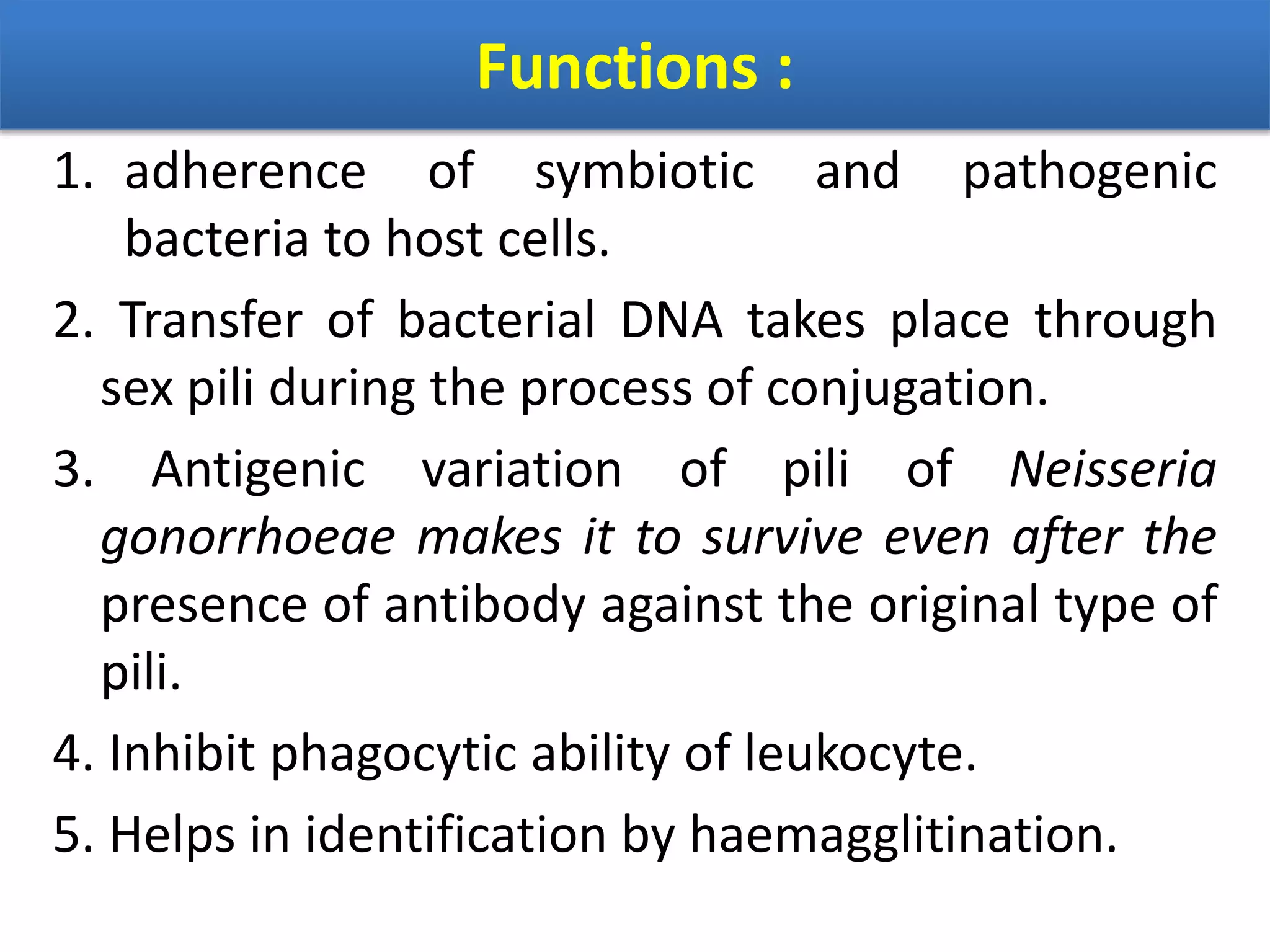 Functions :
1. adherence of symbiotic and pathogenic
bacteria to host cells.
2. Transfer of bacterial DNA takes place through
sex pili during the process of conjugation.
3. Antigenic variation of pili of Neisseria
gonorrhoeae makes it to survive even after the
presence of antibody against the original type of
pili.
4. Inhibit phagocytic ability of leukocyte.
5. Helps in identification by haemagglitination.
 