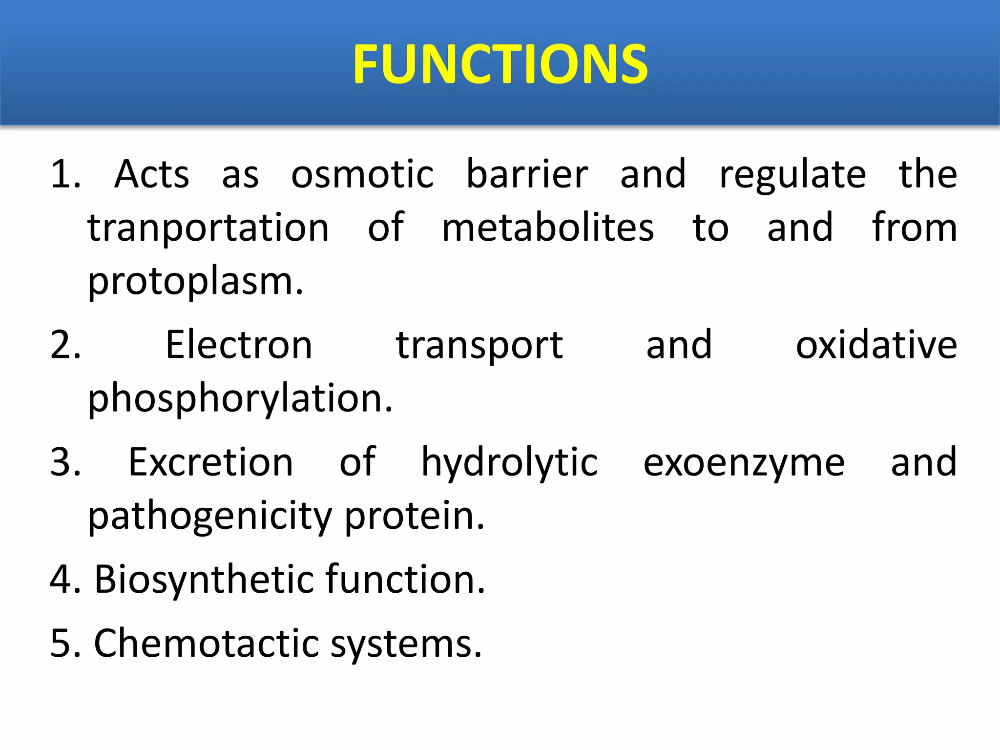 FUNCTIONS
1. Acts as osmotic barrier and regulate the
tranportation of metabolites to and from
protoplasm.
2. Electron transport and oxidative
phosphorylation.
3. Excretion of hydrolytic exoenzyme and
pathogenicity protein.
4. Biosynthetic function.
5. Chemotactic systems.
 