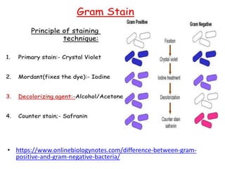 • https://www.onlinebiologynotes.com/difference-between-gram-
positive-and-gram-negative-bacteria/
 