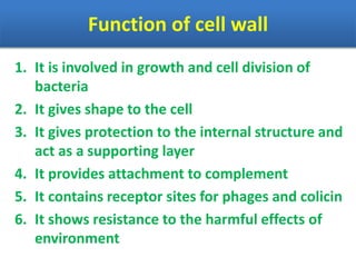 Function of cell wall
1. It is involved in growth and cell division of
bacteria
2. It gives shape to the cell
3. It gives protection to the internal structure and
act as a supporting layer
4. It provides attachment to complement
5. It contains receptor sites for phages and colicin
6. It shows resistance to the harmful effects of
environment
 