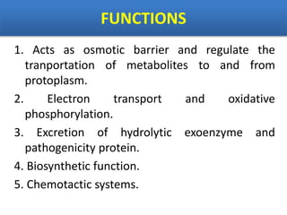 FUNCTIONS
1. Acts as osmotic barrier and regulate the
tranportation of metabolites to and from
protoplasm.
2. Electron transport and oxidative
phosphorylation.
3. Excretion of hydrolytic exoenzyme and
pathogenicity protein.
4. Biosynthetic function.
5. Chemotactic systems.
 