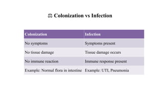 Microbiology Lecture-1 : BACTERIAL COLONIZATION- Bacterial colonization ...