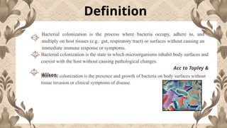Microbiology Lecture-1 : BACTERIAL COLONIZATION- Bacterial colonization ...