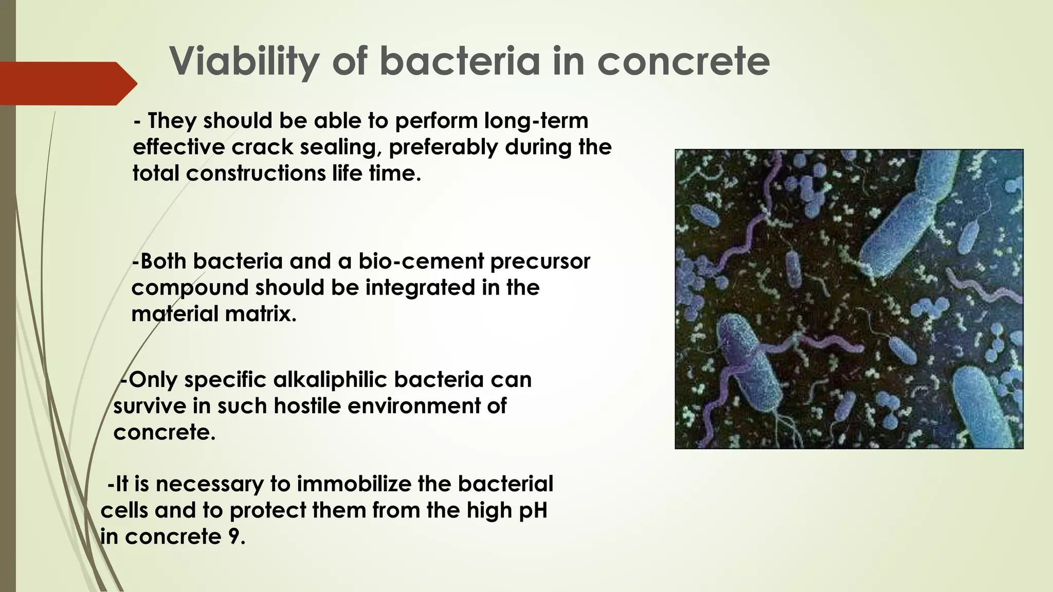 Viability of bacteria in concrete
-Only specific alkaliphilic bacteria can
survive in such hostile environment of
concrete.
-It is necessary to immobilize the bacterial
cells and to protect them from the high pH
in concrete 9.
- They should be able to perform long-term
effective crack sealing, preferably during the
total constructions life time.
-Both bacteria and a bio-cement precursor
compound should be integrated in the
material matrix.
 