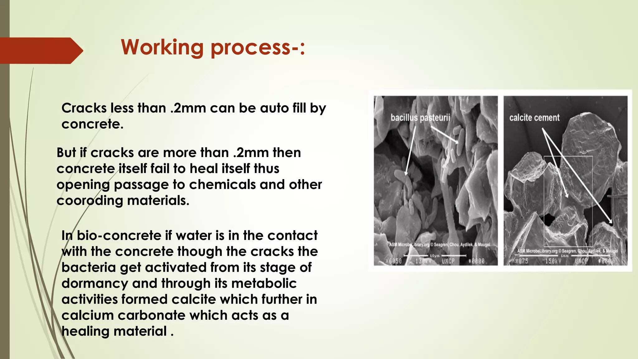 Working process-:
Cracks less than .2mm can be auto fill by
concrete.
But if cracks are more than .2mm then
concrete itself fail to heal itself thus
opening passage to chemicals and other
cooroding materials.
In bio-concrete if water is in the contact
with the concrete though the cracks the
bacteria get activated from its stage of
dormancy and through its metabolic
activities formed calcite which further in
calcium carbonate which acts as a
healing material .
 