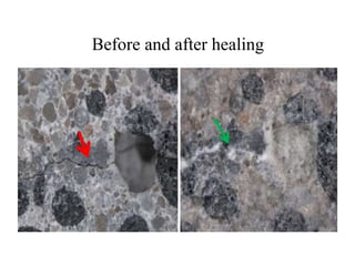 Before and after healing
 