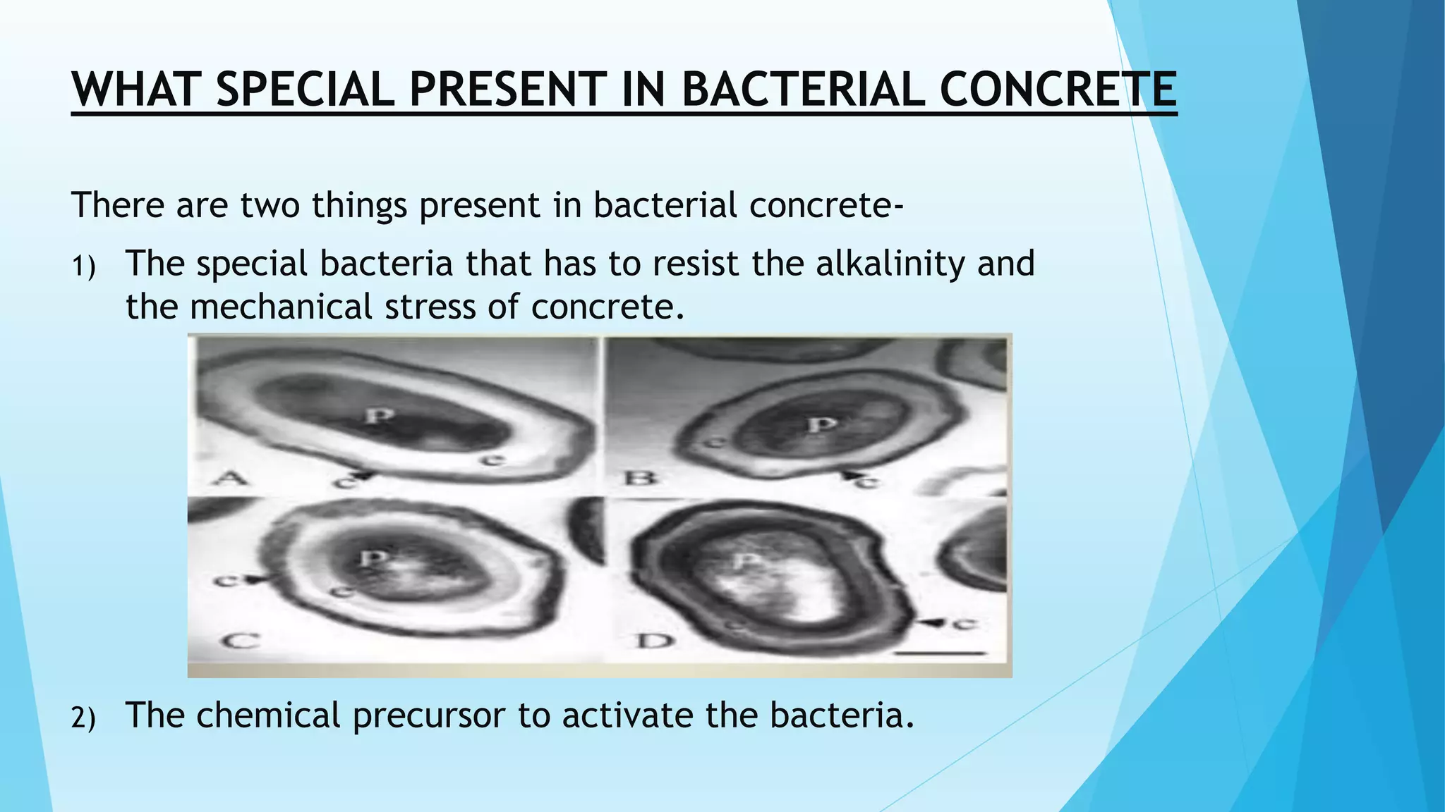 POWERPOINT PRESENTATION ON SELF HEALING CONCRETE | PPTX