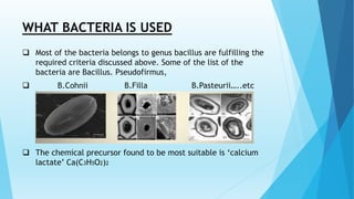 WHAT BACTERIA IS USED
 Most of the bacteria belongs to genus bacillus are fulfilling the
required criteria discussed above. Some of the list of the
bacteria are Bacillus. Pseudofirmus,
 B.Cohnii B.Filla B.Pasteurii…..etc
 The chemical precursor found to be most suitable is ‘calcium
lactate’ Ca(C3H5O2)2
 