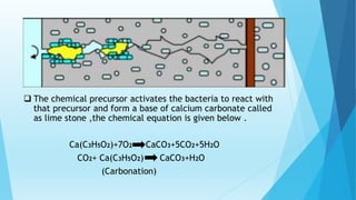  The chemical precursor activates the bacteria to react with
that precursor and form a base of calcium carbonate called
as lime stone ,the chemical equation is given below .
Ca(C3H5O2)+7O2 CaCO3+5CO2+5H2O
CO2+ Ca(C3H5O2) CaCO3+H2O
(Carbonation)
 