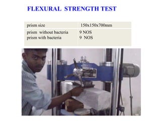FLEXURAL STRENGTH TEST
prism size 150x150x700mm
prism without bacteria
prism with bacteria
9 NOS
9 NOS
 
