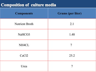 Components Grams (per liter)
Nutrient Broth 2.1
NaHCO3 1.48
NH4CL 7
CaCl2 25.2
Urea 7
 