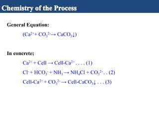 General Equation:
(Ca2++ CO3
2-→ CaCO3↓)
In concrete;
Ca2+ + Cell → Cell-Ca2+ . . . . (1)
Cl- + HCO3
- + NH3 → NH4Cl + CO3
2- . . (2)
Cell-Ca2+ + CO3
2- → Cell-CaCO3↓ . . . (3)
 