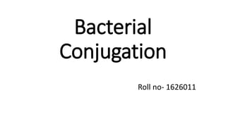Bacterial
Conjugation
Roll no- 1626011
 