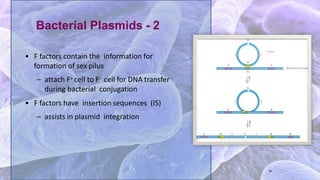 15
• F factors contain the information for
formation of sex pilus
– attach F+ cell to F- cell for DNA transfer
during bacterial conjugation
• F factors have insertion sequences (IS)
– assists in plasmid integration
Bacterial Plasmids - 2
 