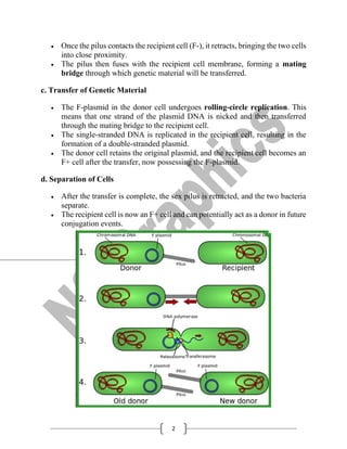 Bacterial Conjugation for B.Sc. SEM-3 Botany /Biotechnology | PDF
