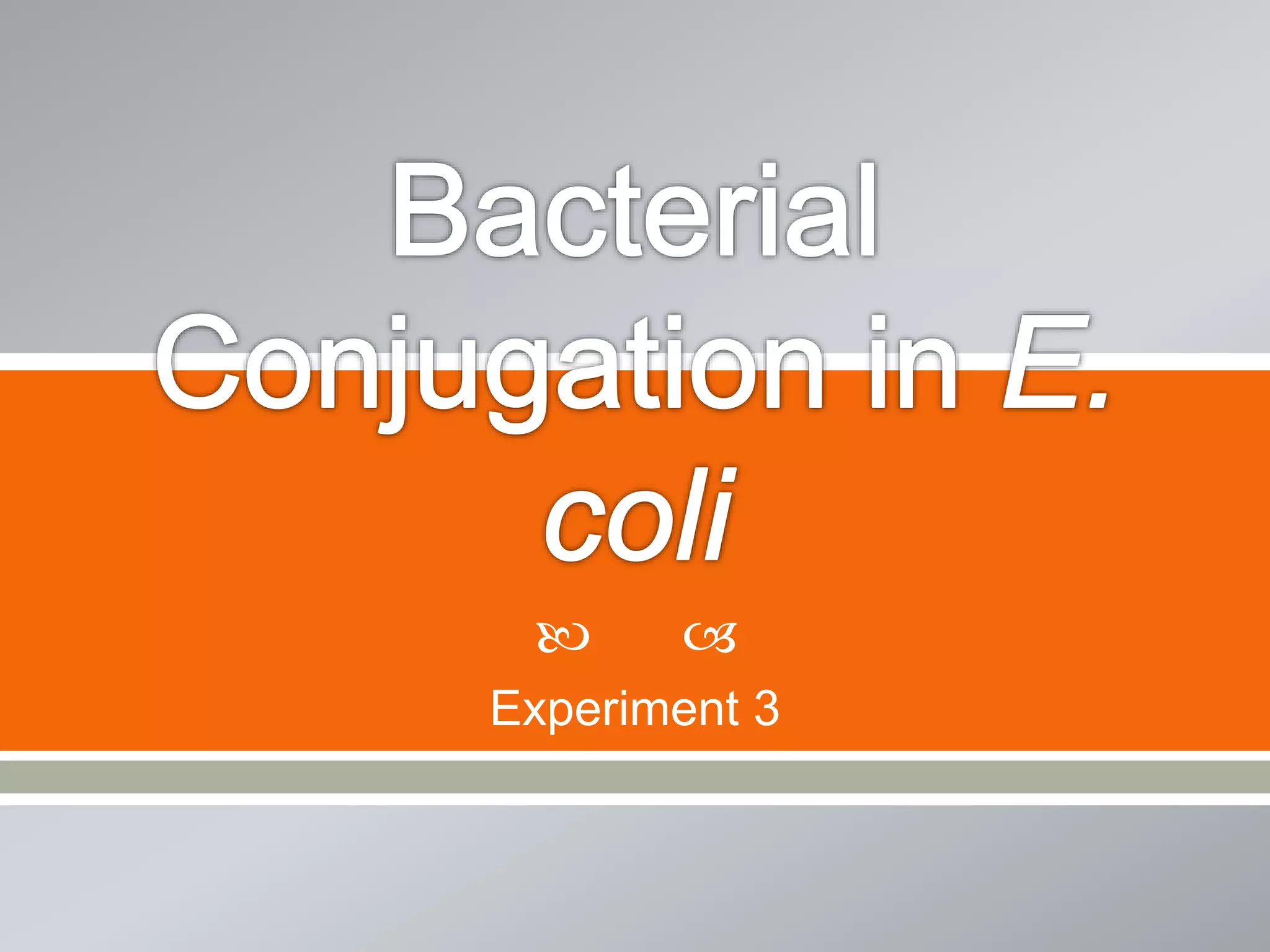   
Experiment 3 
 