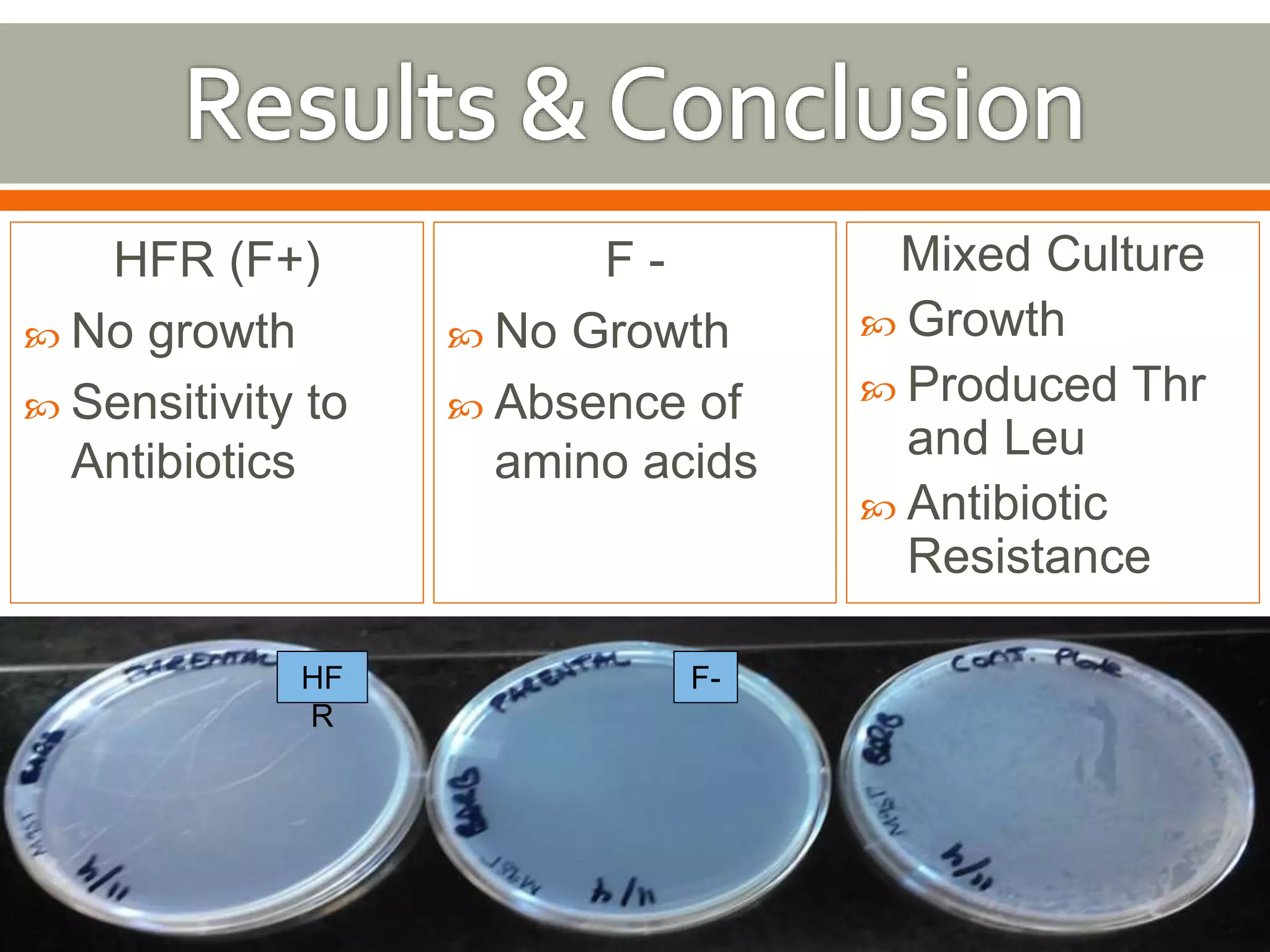 HFR (F+) 
 No growth 
 Sensitivity to 
Antibiotics 
F - 
 No Growth 
 Absence of 
amino acids 
Mixed Culture 
 Growth 
 Produced Thr 
and Leu 
 Antibiotic 
Resistance 
HF F-R 
 