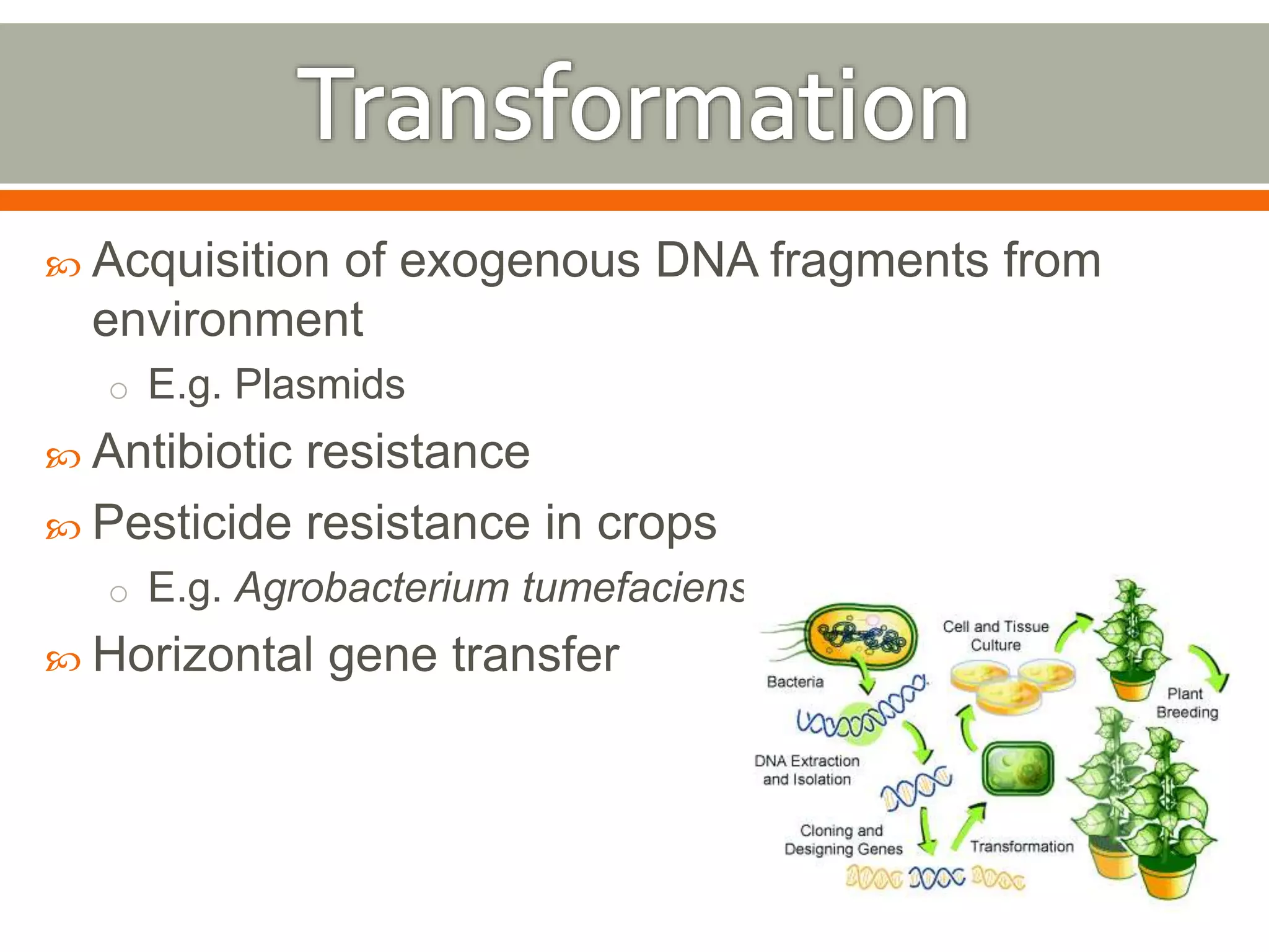  Acquisition of exogenous DNA fragments from 
environment 
o E.g. Plasmids 
 Antibiotic resistance 
 Pesticide resistance in crops 
o E.g. Agrobacterium tumefaciens 
 Horizontal gene transfer 
 