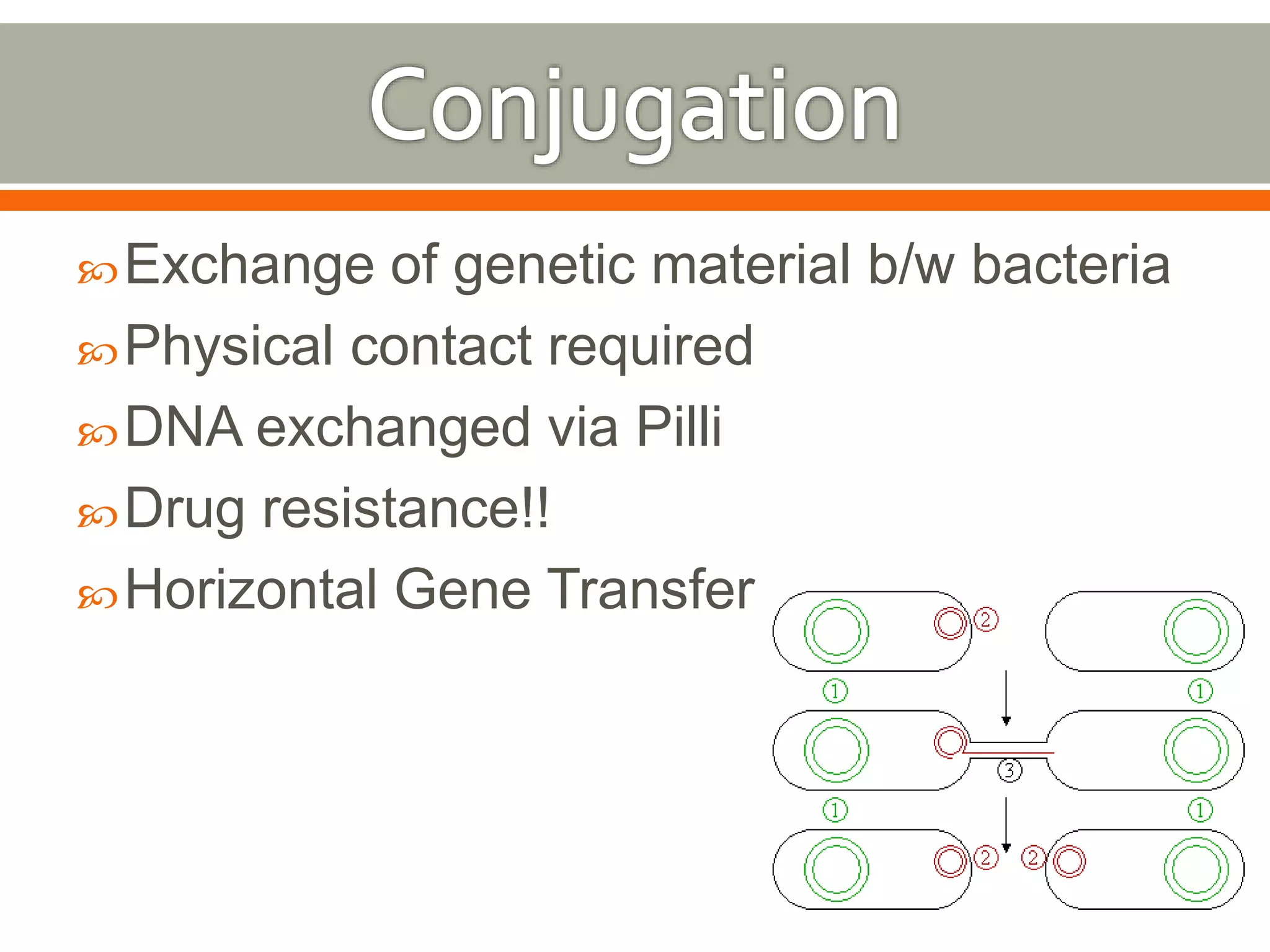 Exchange of genetic material b/w bacteria 
Physical contact required 
DNA exchanged via Pilli 
Drug resistance!! 
Horizontal Gene Transfer 
 