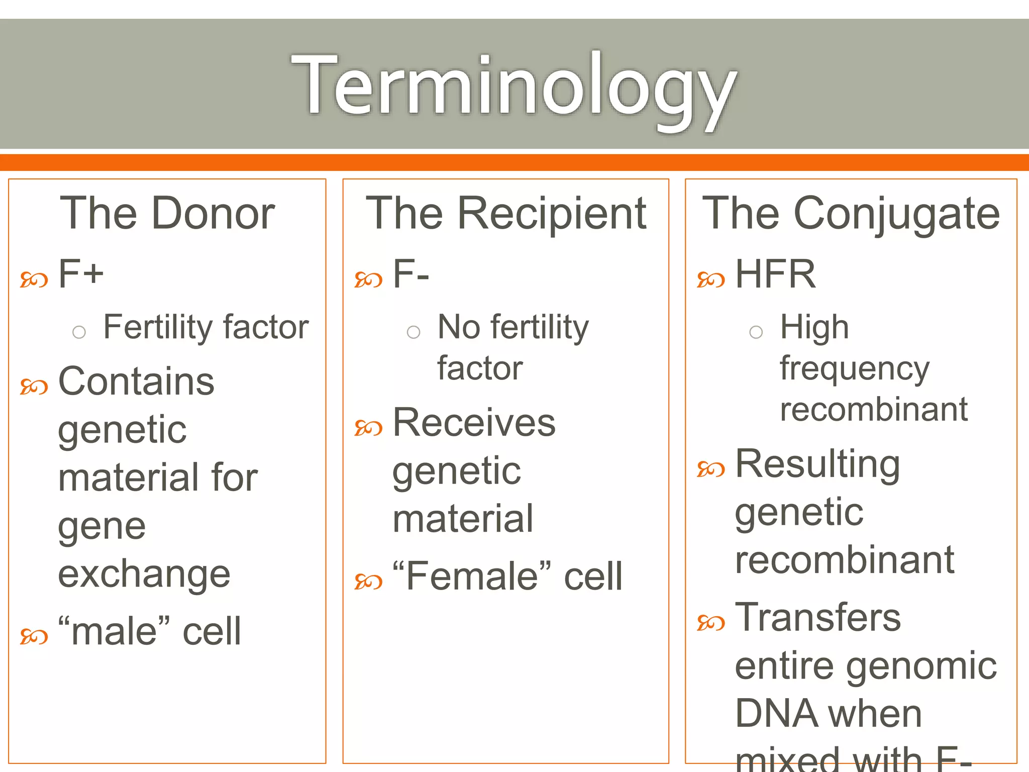 The Donor 
 F+ 
o Fertility factor 
 Contains 
genetic 
material for 
gene 
exchange 
 “male” cell 
The Recipient 
 F-o 
No fertility 
factor 
 Receives 
genetic 
material 
 “Female” cell 
The Conjugate 
 HFR 
o High 
frequency 
recombinant 
 Resulting 
genetic 
recombinant 
 Transfers 
entire genomic 
DNA when 
mixed with F-cells 
 